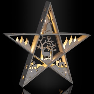 386838-360390-christmas-light-up-cut-out-wooden-star-2
