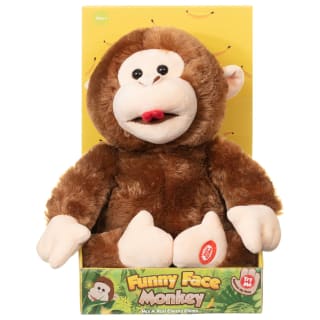 Funny Face Giggling Monkey