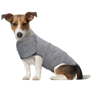 Calming Dog Coat - Small-Medium