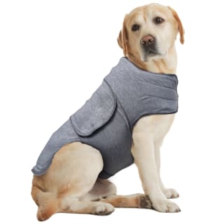 Calming Dog Coat - Large-Extra Large