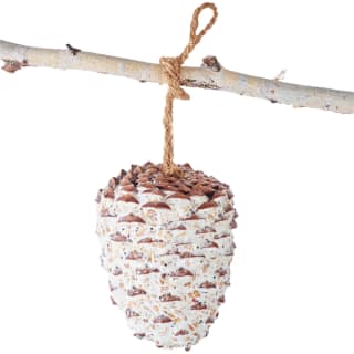 364550-giant-pine-cone-bird-treat-2
