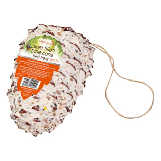 364550-giant-pine-cone-bird-treat-4