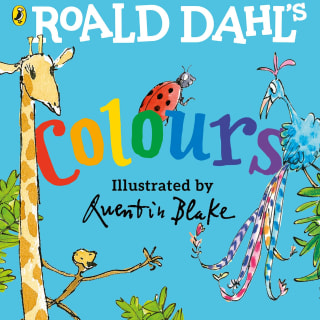 Roald Dahl Board Book - Colours