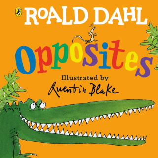 Roald Dahl Board Book - Opposites