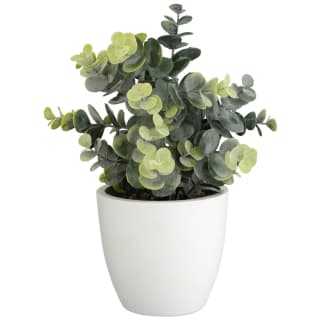 Artificial Eucalyptus in Pot - White