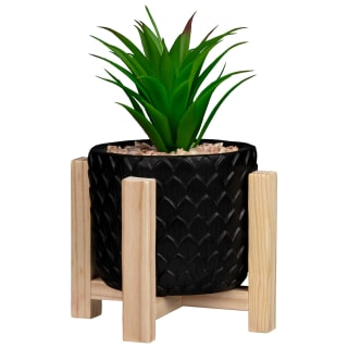 368209-succulent-with-wooden-holder-black