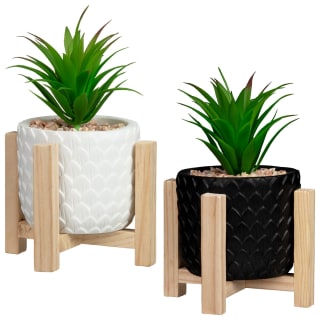 368209-succulent-with-wooden-holder-group