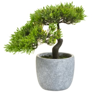 Bonsai Tree in Concrete Pot 29cm