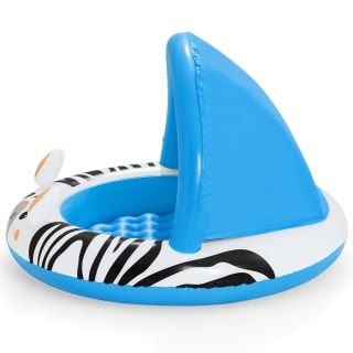 368586-baby-zebra-pool-2