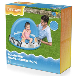 368586-baby-zebra-pool-5