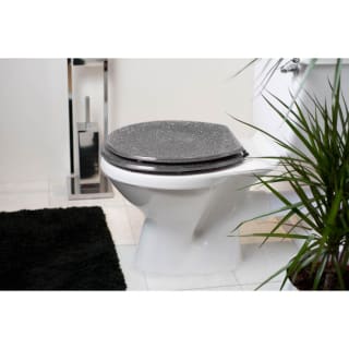 368881-glitter-toilet-seat-silver