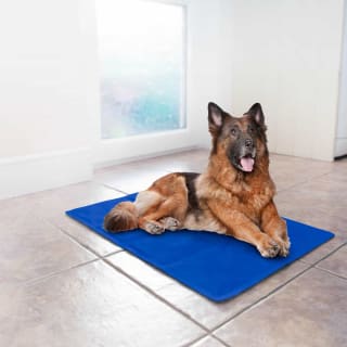 Extra Large Pet Cooling Mat