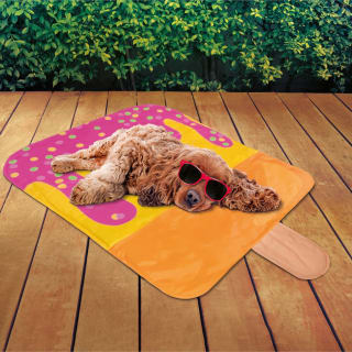 Pet Cooling Mat - Ice Lolly