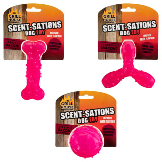 Scentsations Dog Toy - Pink