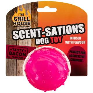 370034-scent-sations-dog-toy-ball-bacon