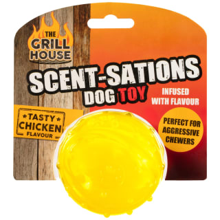 370034-scent-sations-dog-toy-ball-chicken
