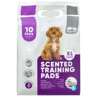370392-puppy-pads-10pk-xl