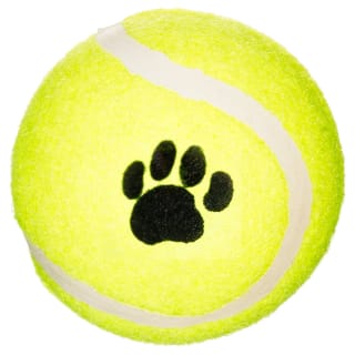 371411-throw-and-fetch-tennis-balls-3