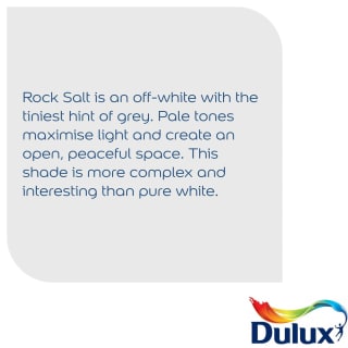 372281-dulux-rock-salt-matt-5l-paint-3