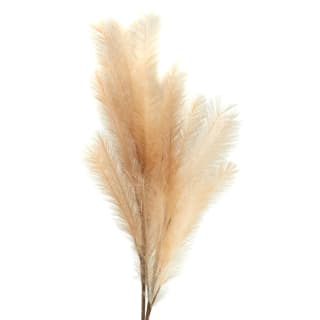 372800-pampas-stem-natural-2