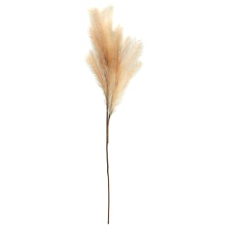 372800-pampas-stem-natural