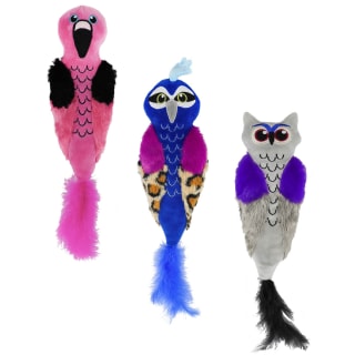 376814-bird-cat-kicker-group