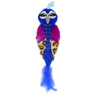 376814-bird-cat-kicker-peacock