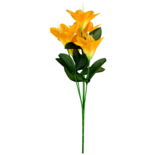 376996-small-bunches-in-cdu