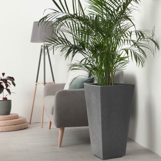 377702-sonata-planter-pewter-70cm-2