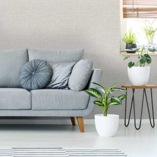 378551-cine-neutral-wallpaper-2