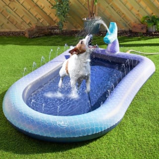 Pet Splash Pool
