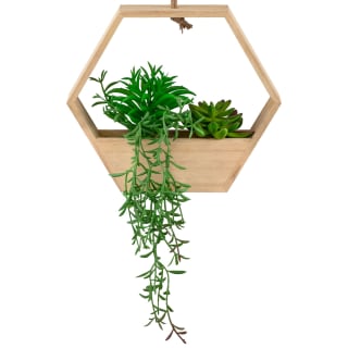 380128-hanging-wooden-succulent-2