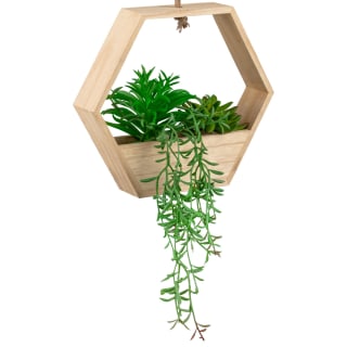 Hanging Wooden Succulent