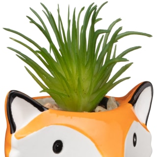 380193-glazed-animal-succulent-fox-2