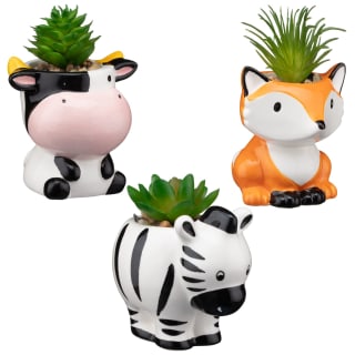 380193-glazed-animal-succulent-group