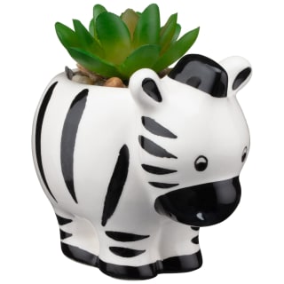 Glazed Animal Succulent - Zebra