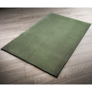 Micro Plush Rug 110 x 160cm - Sage