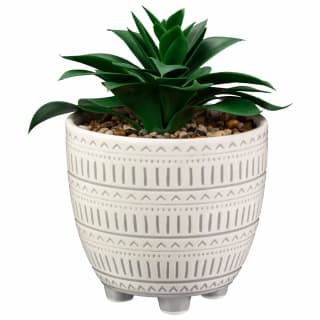 380623-foliage-in-chevron-planter-with-legs