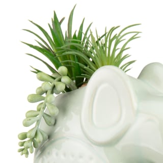 380716-elephant-foliage-green-2