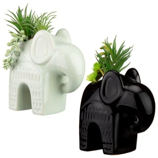 380716-elephant-foliage-group