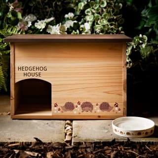 381473-hedgehog-house-22