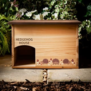 381473-hedgehog-house2