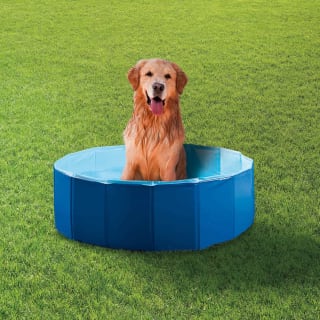 Chilli Paws Pet Paddling Pool - Large