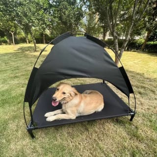 Barkhaus Raised Pet Bed with Canopy - Black