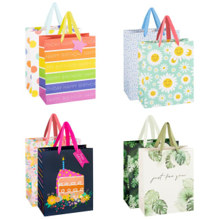 383293-2pk-large-gift-bags-group