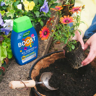 383992-westlands-boost-liquid-plant-feed-1l-5