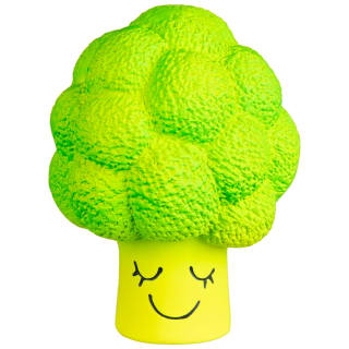 Fruit & Veggies Dog Toy - Broccoli
