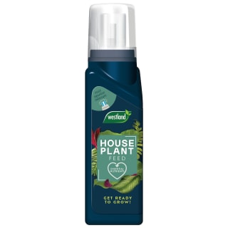 Westland Indoor Houseplant Feed 200ml