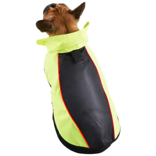 LED Dog Coat - Small