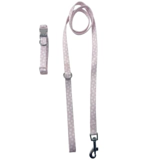 387070-puppy-collar-and-lead-set-4